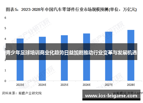 青少年足球培训商业化趋势日益加剧推动行业变革与发展机遇 青少年足球培训商业化趋势日益加剧推动行业变革与发展机遇